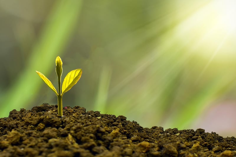Sustainable Investment